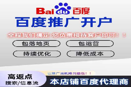 百度竞价代理全攻略：成功案例分享